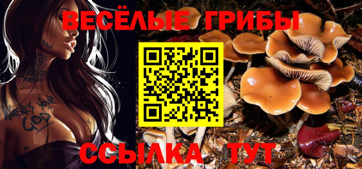 Псилоцибиновые грибы MAGIC MUSHROOMS Ярцево